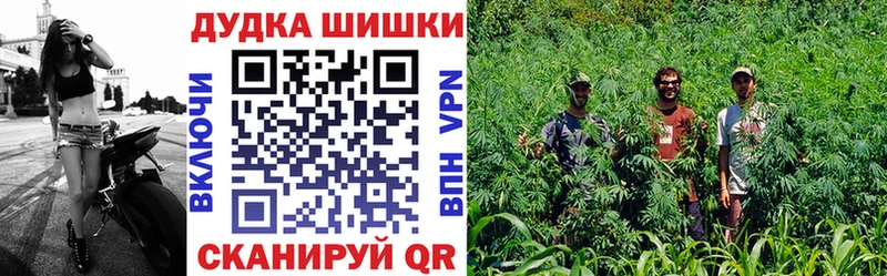 Купить где  Луховицы  Бошки Шишки SATIVA & INDICA 